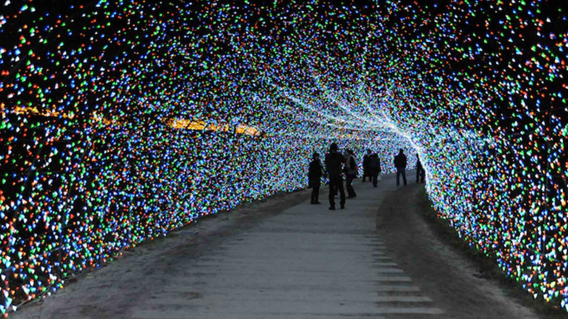 Winter Lights Tunnel Nabana No Sato Japan Blog Nulty