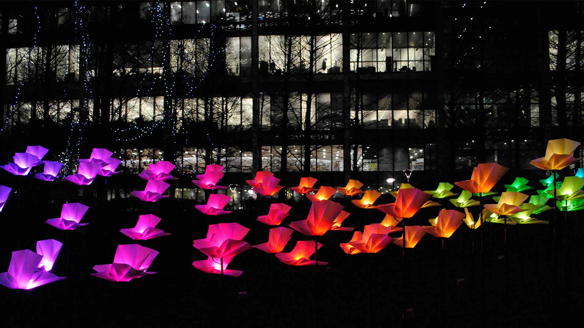 Light Art Installation Butterflies Colour Winter Lights London Blog Nulty