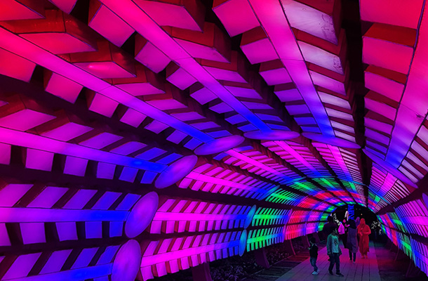 Dubai Garden Glow Colour Changing Tunnel Light Effect