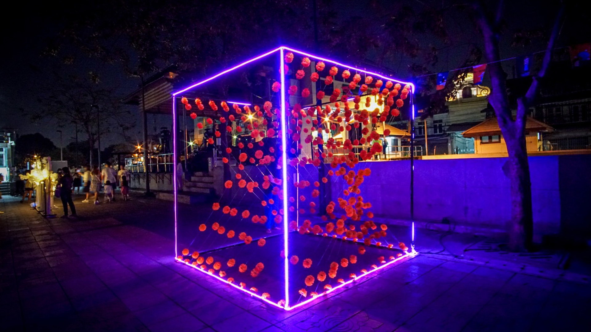 Flower Market Neon Cube Illumination Installation Bangkok Design Week Banner
