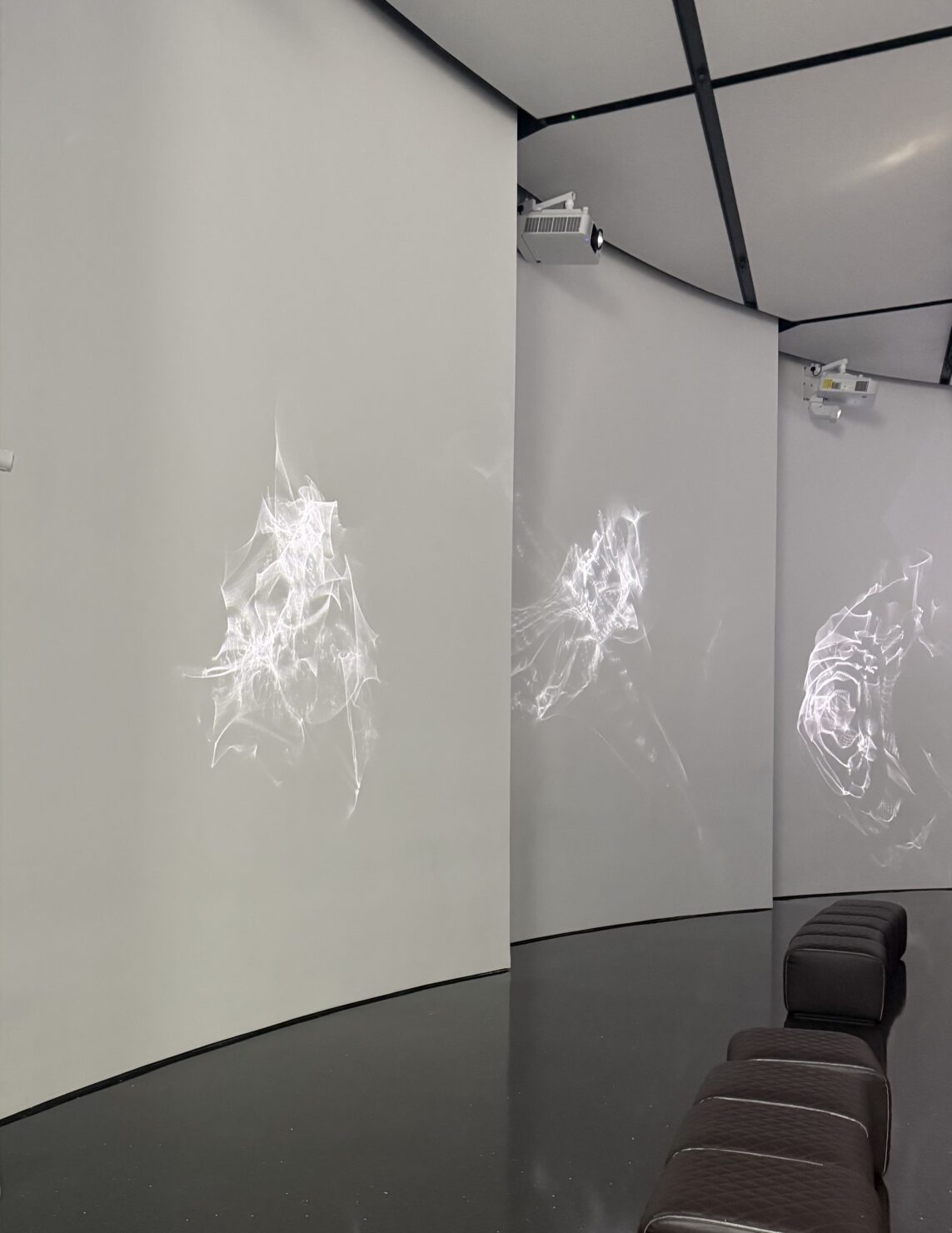 Yael Erel presents Mirrored Landscape 